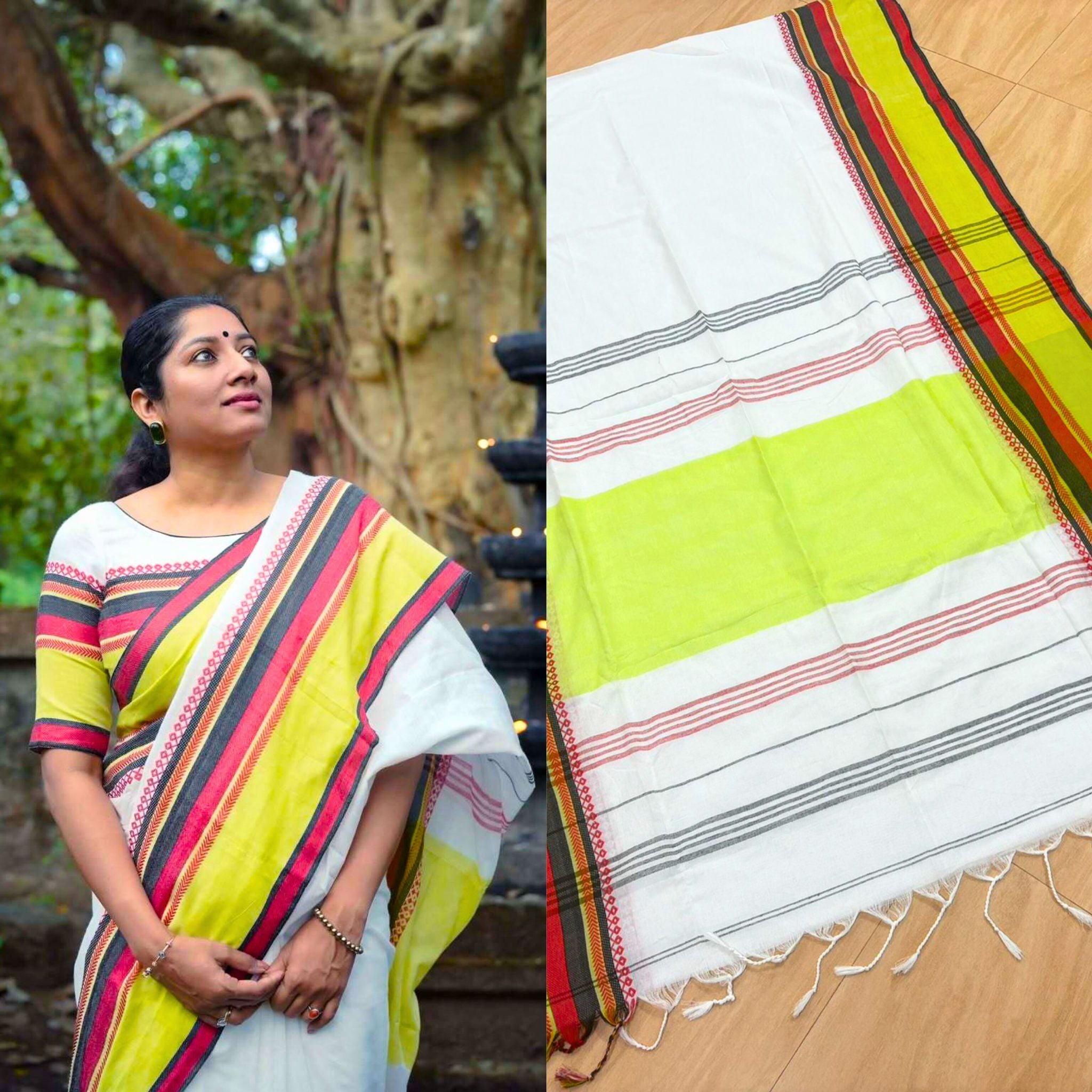 Anumol Inspired Saree